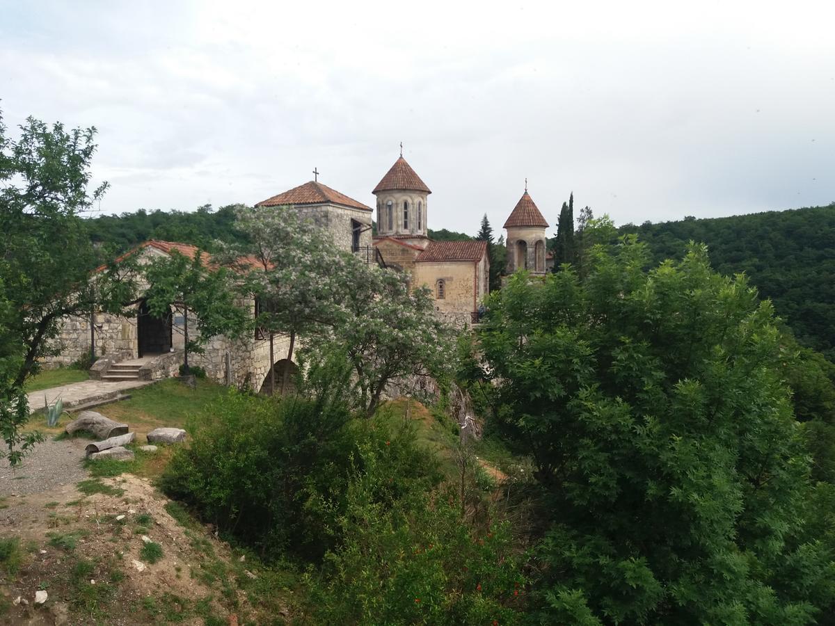 Хостел Darejani Кутаиси Экстерьер фото